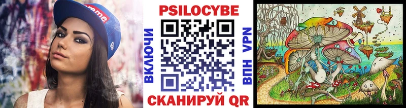 Псилоцибиновые грибы Psilocybine cubensis  Отрадная 